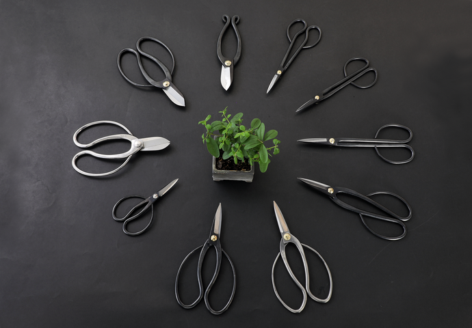 Types of Scissors for Your Bonsai Pruning