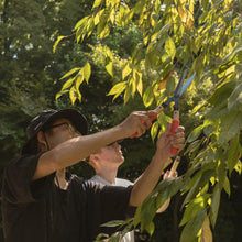 Laden Sie das Bild in den Galerie-Viewer, Wazakura Japan Premium Mini Hedge Shears - Handmade Japanese Pruning Shears
