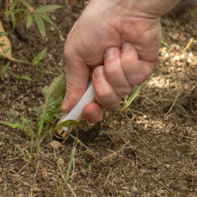 Laden Sie das Bild in den Galerie-Viewer, Wazakura Japan Root Weeding Fork
