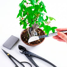 Laden Sie das Bild in den Galerie-Viewer, 4-teiliges japanisches Bonsai Essential Set [ Yasugi-Stahl Ashinaga Schere + Konkavzange + Pinzette + Harzradierer ]
