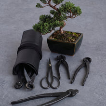 Load image into Gallery viewer, 6PCS Satsuki Bonsai Professional Tool Kit [ Satsuki Scissors + 5 Cutters ]
