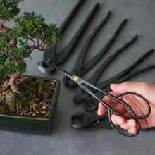 Load image into Gallery viewer, 6PCS Satsuki Bonsai Professional Tool Kit [ Satsuki Scissors + 5 Cutters ]
