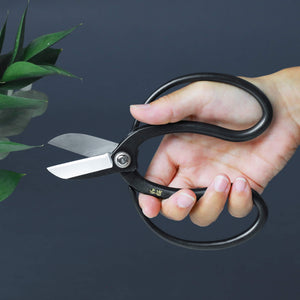 Ikebana.be Flower Arrangement Beginner Kit | Made in Japan – Wazakura Koryu Scissors, Brass Kenzan, & Illustrated Guide