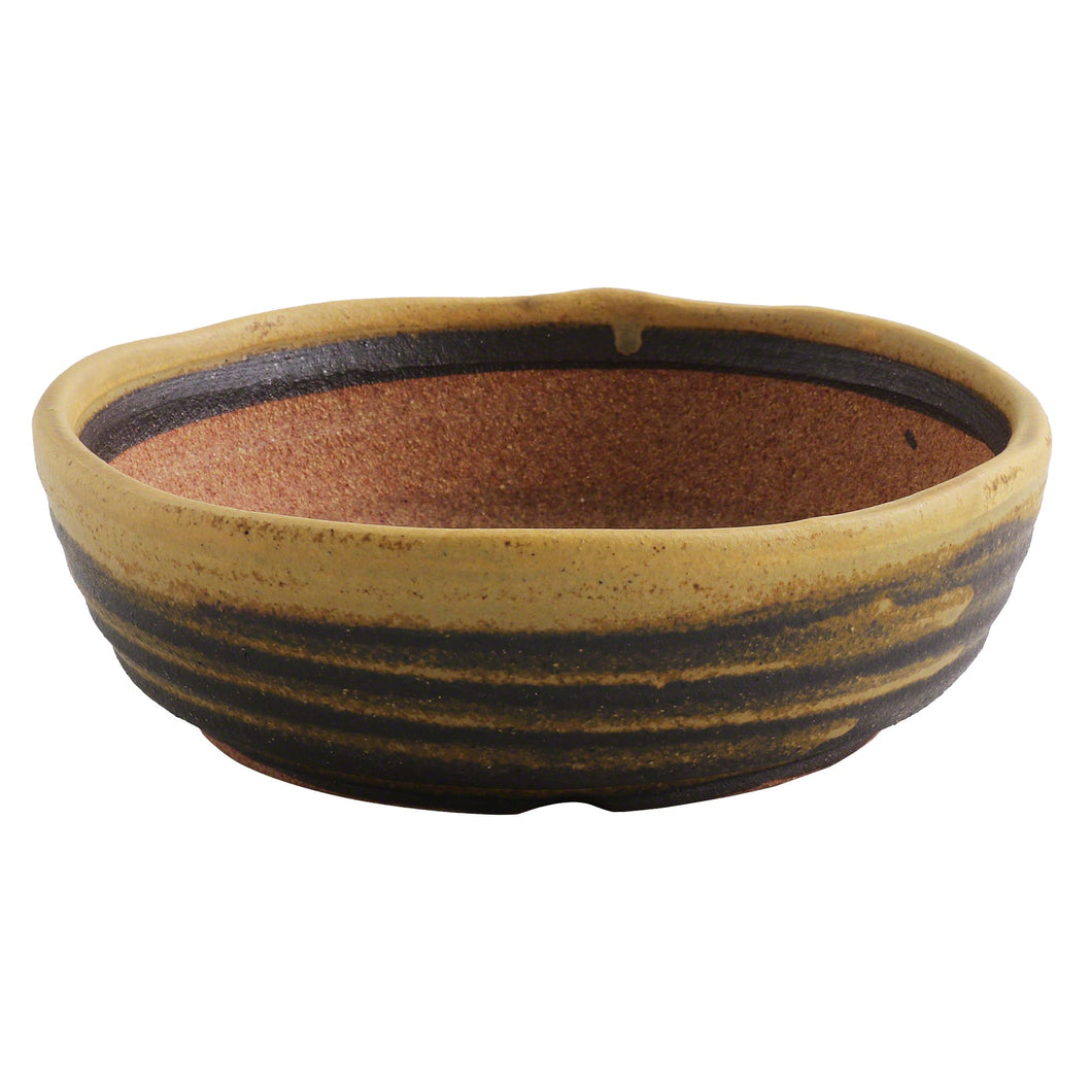 [ Shigaraki Series ] Sand Brown Stripe Glazed Bonsai Pot 8.2