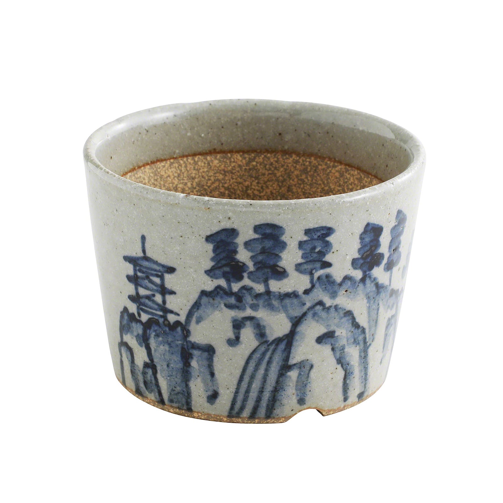 5 Ceramic Japanese Juniper Bonsai Kit