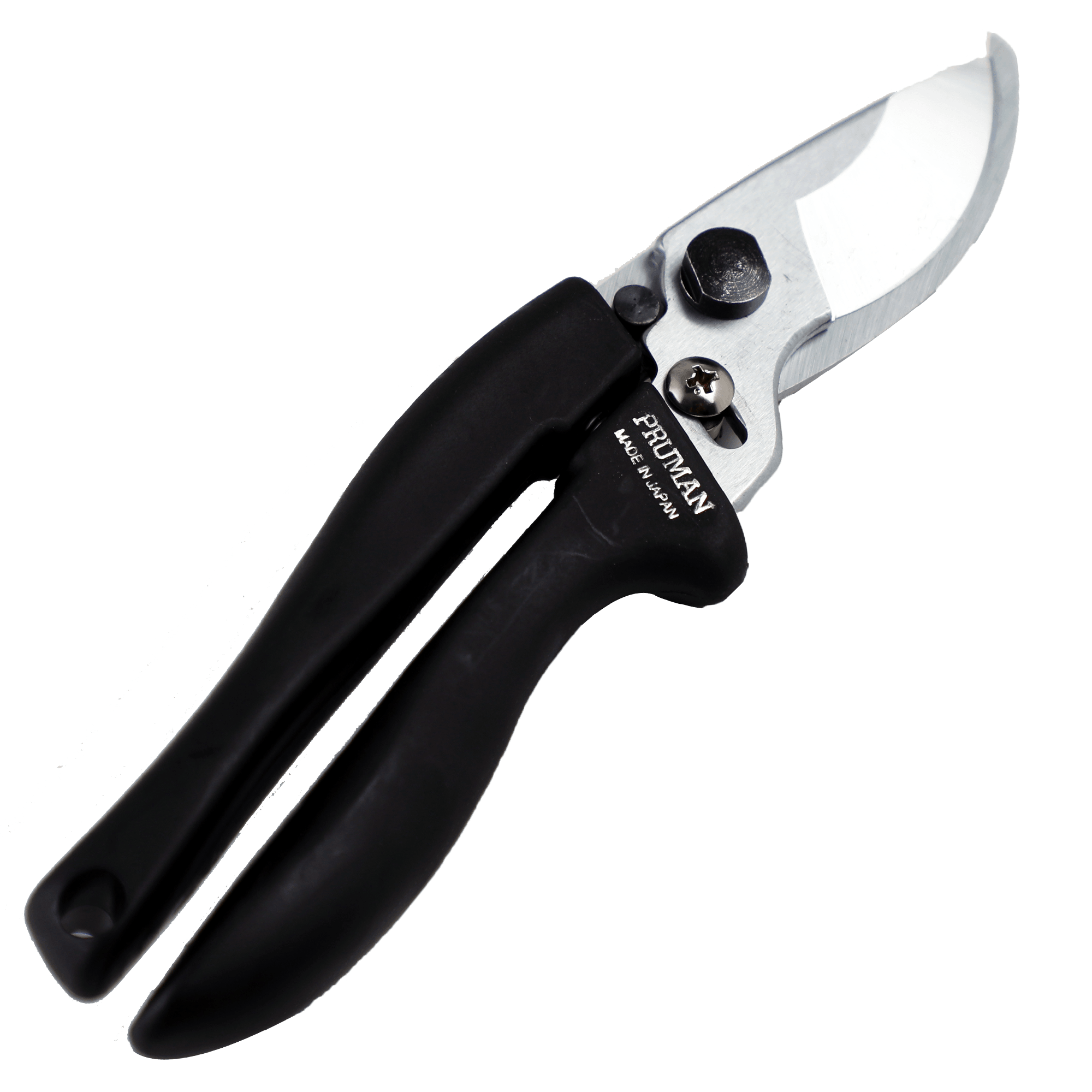 US$60 Bonsai Tools Gift list – Tagged 