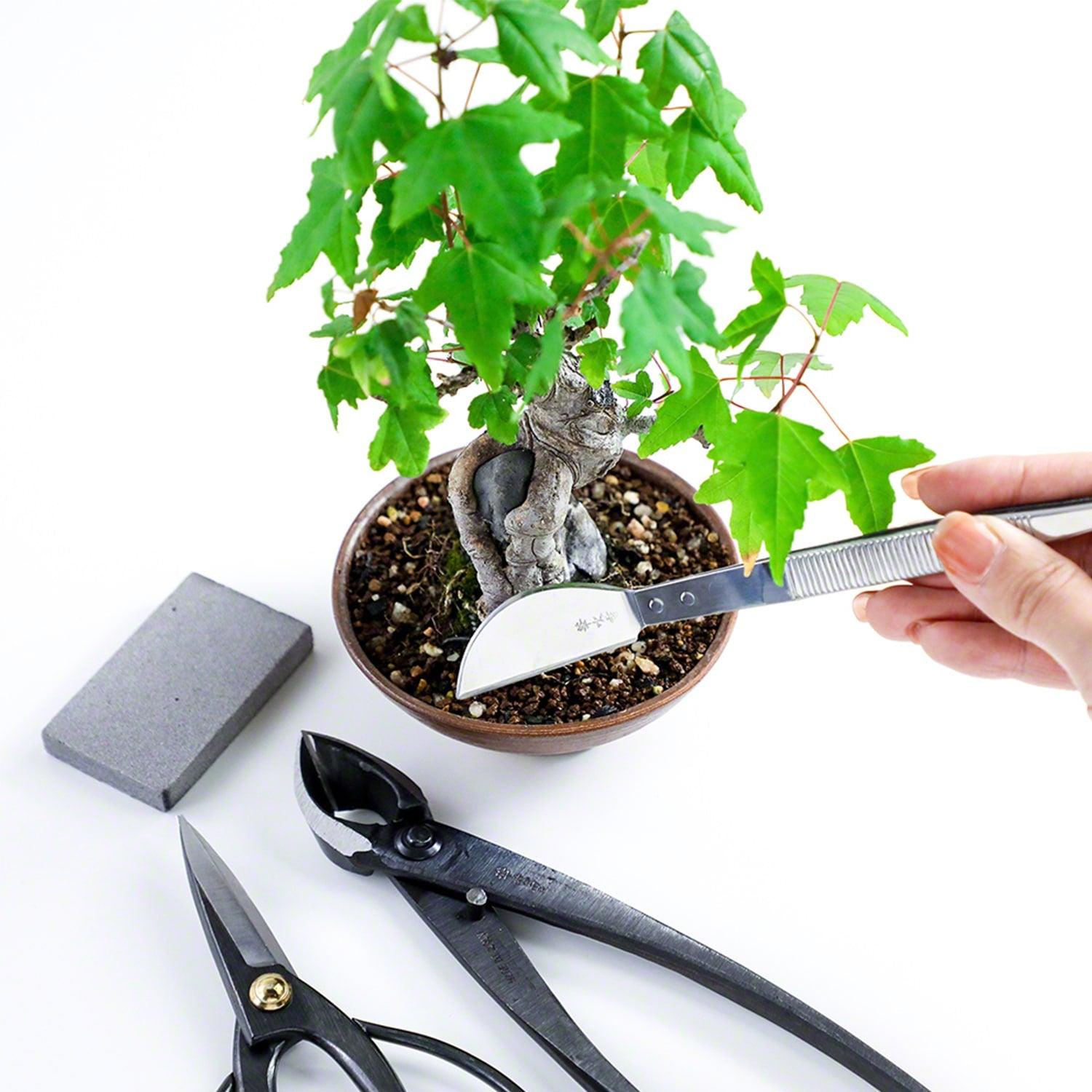 bonsai tree tool set 4 Piece Traditional Bonsai Tree Essential Tool Kit – Wazakura Japan