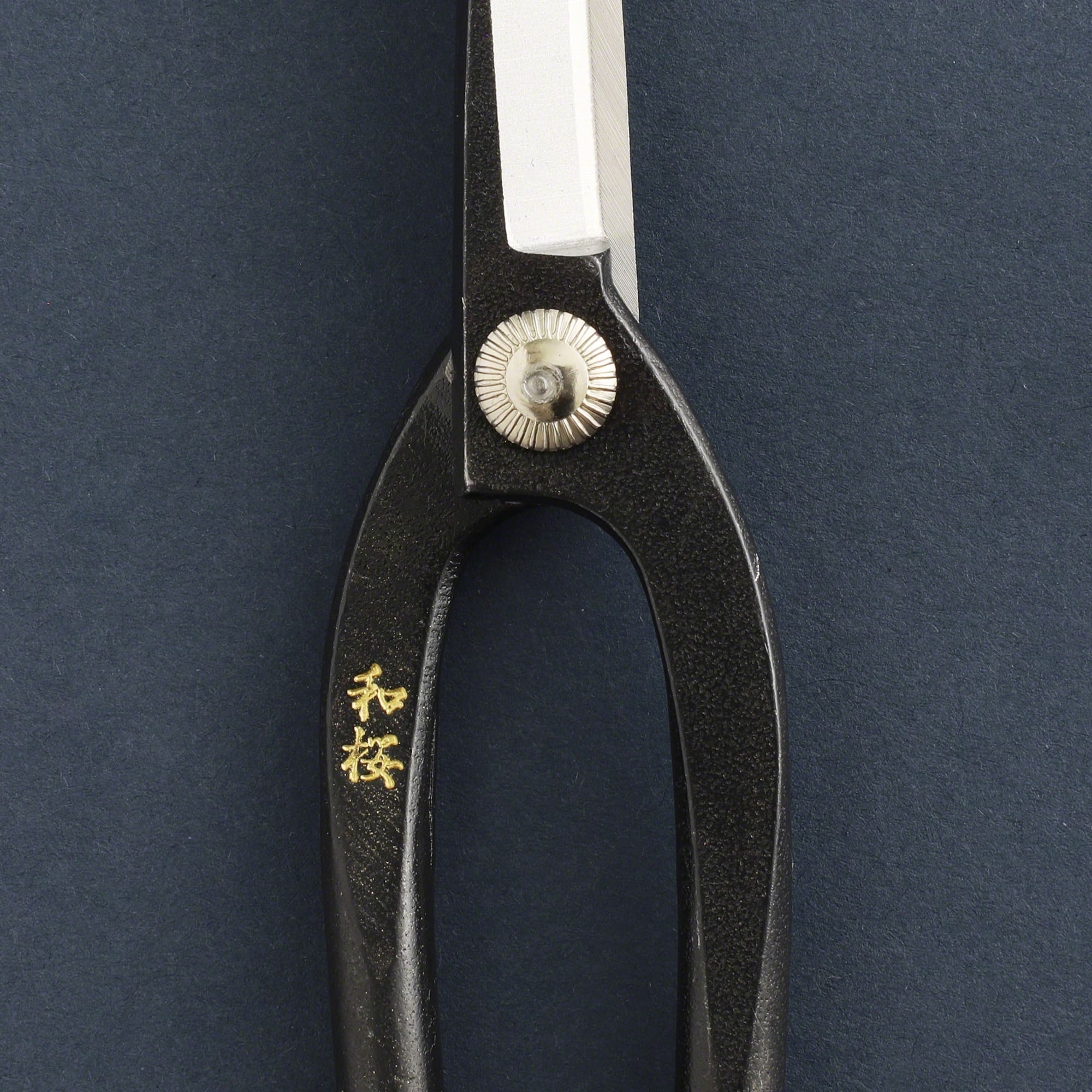 Wazakura Kit de cuidado de recorte de bonsái japonés fabricado en Japón Wazakura Kit de cuidado de recorte de bonsái japonés fabricado en Japón