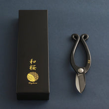 Load image into Gallery viewer, Ikenobo Ikebana scissors next to original black box
