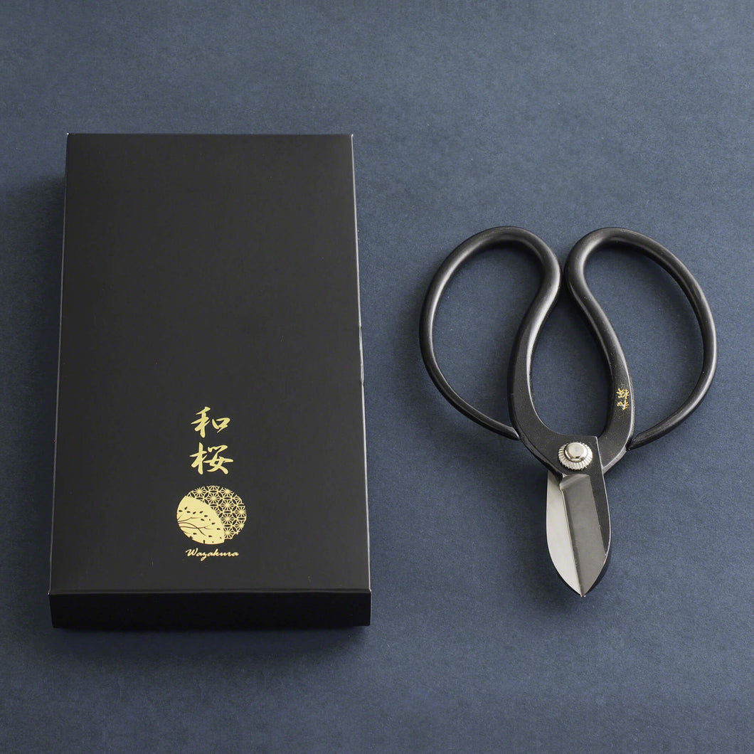 Koryu Black Scissors next their original box on purple background