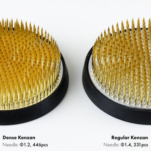 comparison between the needle of the dense kenzan and regular kenzan