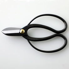 Load image into Gallery viewer, Koryu Ikebana Floral Scissors 6.7&quot;(170mm)
