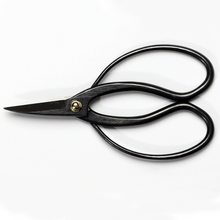 Load image into Gallery viewer, Horonzitalview of the Traditional Scissors
