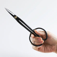 Load image into Gallery viewer, hand holding the Twig Bonsai Scissors
