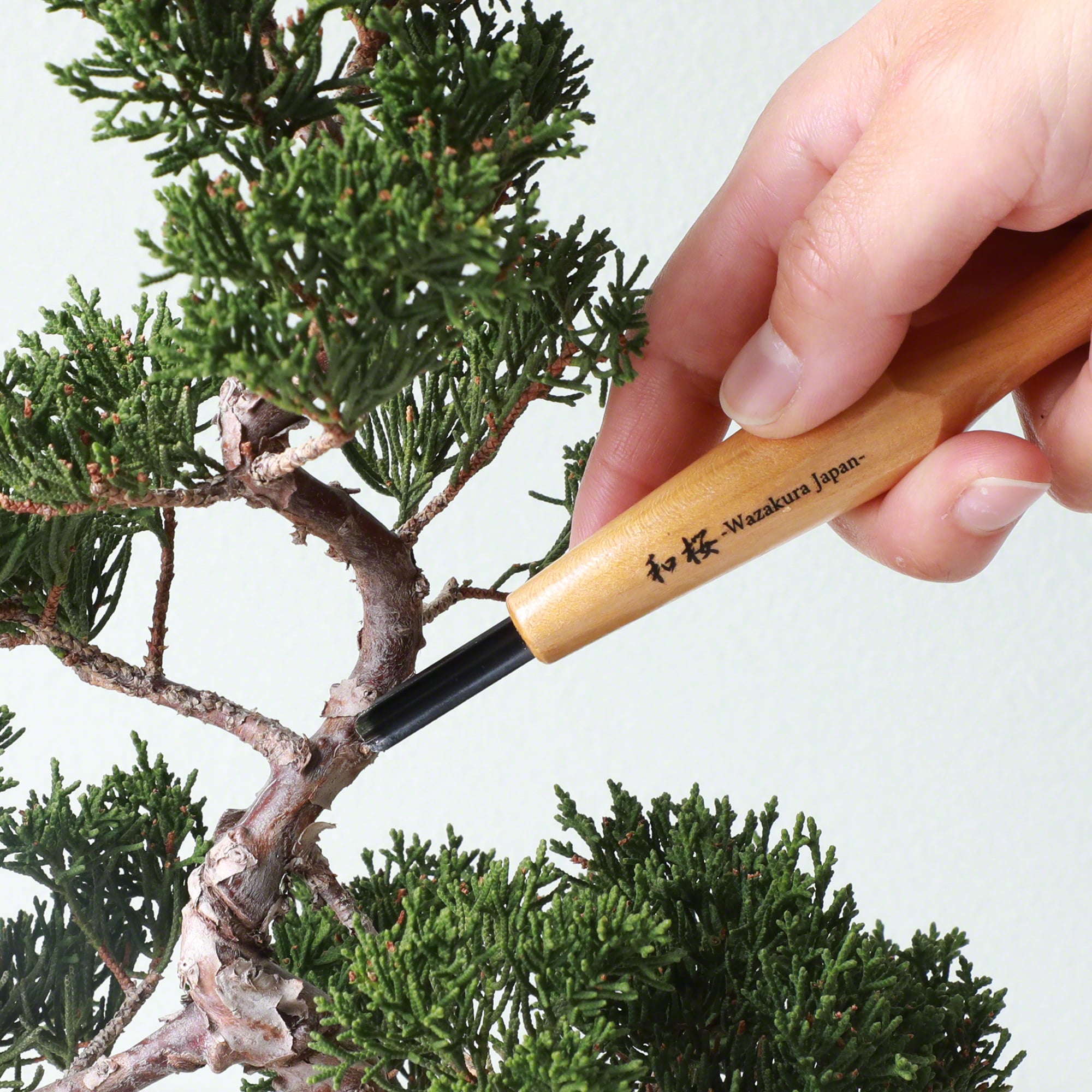 Round Gouge Carving Chisel, Bonsai & Woodcarving MADE IN JAPAN ...