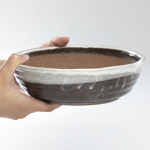 [ Shigaraki Series ] White Stripe Glazed Bonsai Pot 8.2" (210 mm)