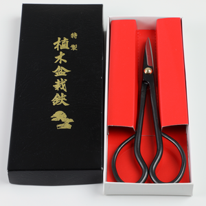 Satsuki in its original box