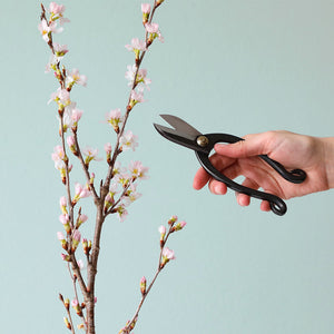 2PCS Japanese Ikebana Essential Tool Set [ Ikenobo Scissors + Black Kenzan]