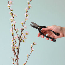 Load image into Gallery viewer, hand holding ghe Ikenobo Ikebana Scissors
