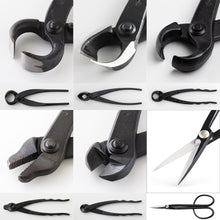 Load image into Gallery viewer, 6PCS Bonsai Professional Tool Kit [ Twig Scissors + 5 Cutters ]
