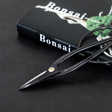 Load image into Gallery viewer, 2PCS Japanese Bonsai Essential Tool Set [ Ashinaga Long Scissors + Concave Cutter ]
