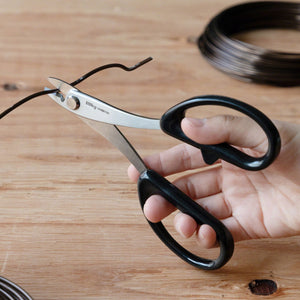 Wire Scissors cutting Wire