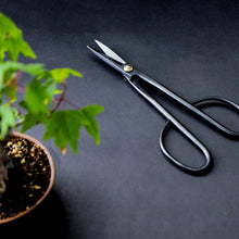Load image into Gallery viewer, Bonsai Trimming and Care Kit [ Twig Bonsai Scissors + Sap Rust Eraser Set ]
