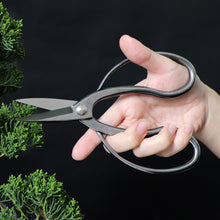 Load image into Gallery viewer, Traditional Bonsai Scissors 7&quot;(180mm) Stainless Steel
