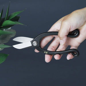 Hand holding wazakura ikenobo scissors