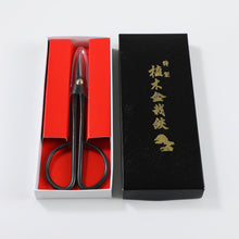 Load image into Gallery viewer, Black Twig Scissors for Bonsai in their original box
