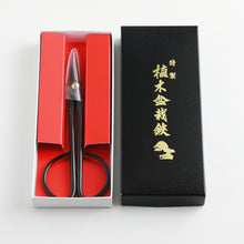 Load image into Gallery viewer, Twig floral and Bonsai scissors in their original box
