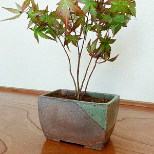 [ Tokoname Series ] Rectangular Glazed Bonsai Pot 5.3"(135 mm)