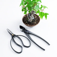 Load image into Gallery viewer, 2PCS Japanese Bonsai Essential Tool Set [ Traditional Scissors + Concave Cutter ]
