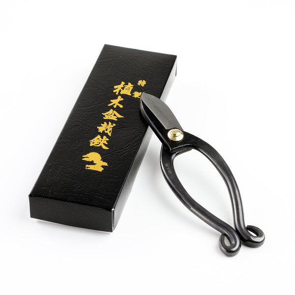 Ikenobo Ikebana Scissors and original box