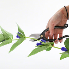 Load image into Gallery viewer, hand handling ikenobo scissors cutting a flower stem
