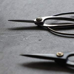 Close up on two Traditional Scissors blades